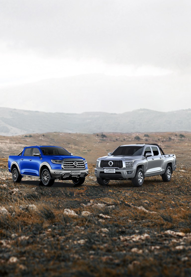A Powerful Pickup with lowest Prices - GWM POER!